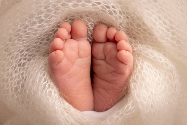 El pequeño pie de un recién nacido. Pies suaves de un recién nacido en una manta de lana blanca. Primer plano de los dedos de los pies, tacones y pies de un bebé recién nacido. Estudio Macro fotografía. La felicidad de las mujeres. Concepto. —  Fotos de Stock