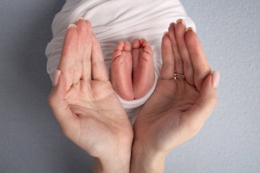 The palms of the father, the mother are holding the foot of the newborn baby in a white blanket. Feet of the newborn.