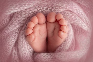 Yeni doğmuş bir bebeğin küçük ayağı. Pembe yün battaniyeli yeni doğmuş bir bebeğin yumuşak ayakları. Yeni doğmuş bir bebeğin ayak parmaklarını, topuklarını ve ayaklarını kapat. Stüdyo Makro fotoğrafçılık. Kadınların mutluluğu. 