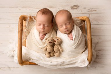 Tiny newborn twin boys in white cocoons in a wooden basket with bear toys. A newborn twins boy sleeps next to his brother. Professional studio portrait photography. Against a background of light wood.