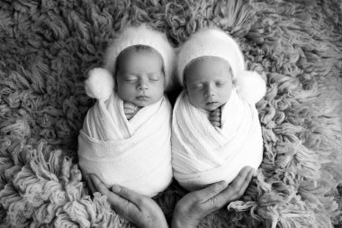 Tiny newborn twin boys in white cocoons on a blue background in white caps. Studio professional photography of newborn twins.