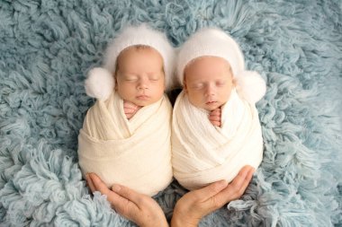 Tiny newborn twin boys in white cocoons on a blue background in white caps. Studio professional photography of newborn twins.