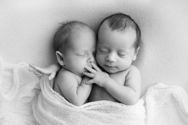 Tiny newborn twins boys in white cocoons on a white background. A newborn twin sleeps next to his brother. Newborn two twins boys hugging each other.Professional black and white studio photography. 