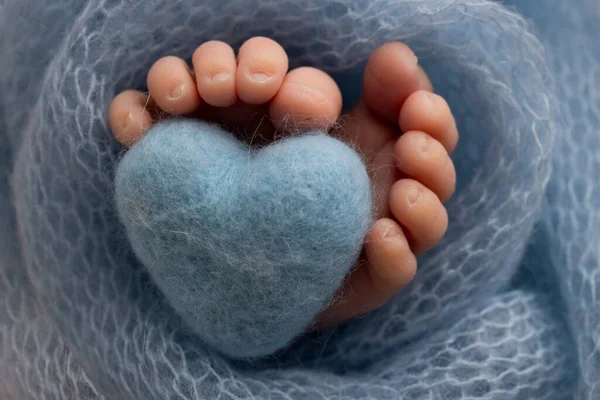 The tiny foot of a newborn baby. Soft feet of a new born in a purple, lilac wool blanket. Close up of toes, heels and feet of a newborn. Knitted purple, lilac heart in the legs of a baby. 