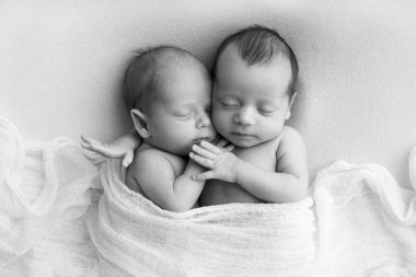 Tiny newborn twins boys in white cocoons on a white background. A newborn twin sleeps next to his brother. Newborn two twins boys hugging each other.Professional black and white studio photography. 