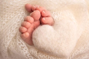 The tiny foot of a newborn baby. Soft feet of a new born in a purple, lilac wool blanket. Close up of toes, heels and feet of a newborn. Knitted purple, lilac heart in the legs of a baby. 