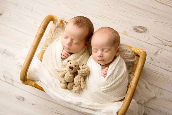 Tiny newborn twin boys in white cocoons in a wooden basket with bear toys. A newborn twins boy sleeps next to his brother. Professional studio portrait photography. Against a background of light wood.