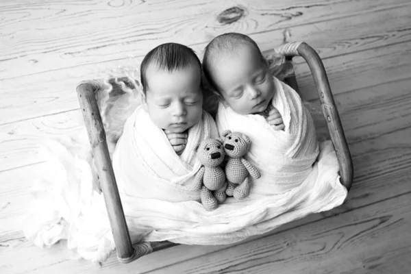 Tiny newborn twin boys in a wooden basket with bear toys. A newborn twins boy sleeps next to his brother. Professional black and white studio portrait photography. Against a background of light wood.