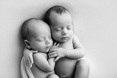 Tiny newborn twins boys in white cocoons on a white background. A newborn twin sleeps next to his brother. Newborn two twins boys hugging each other.Professional black and white studio photography. 
