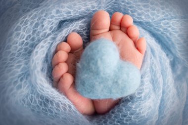 Knitted blue heart in the legs of a baby. Soft feet of a new born in a blue wool blanket. Close-up of toes, heels and feet of a newborn. Macro photography the tiny foot of a newborn baby. 