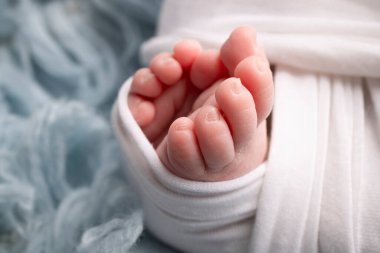 The tiny foot of a newborn. Soft feet of a newborn in a white blanket and on a blue background. Close up of toes, heels and feet of a newborn baby. Studio Macro photography. Womans happiness. 