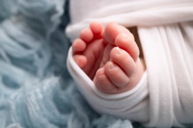 The tiny foot of a newborn. Soft feet of a newborn in a white blanket and on a blue background. Close up of toes, heels and feet of a newborn baby. Studio Macro photography. Womans happiness. 