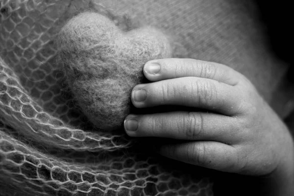 Tiny hand of a newborn. The soft hands of a newborn hold a woolen heart. The fingers of the hands of a newborn close-up. Studio black and white macro photo on the background of blanket.