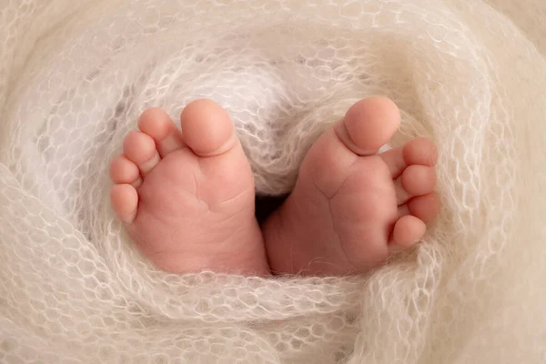 Soft feet of a newborn in a white woolen blanket. Close-up of toes, heels and feet of a newborn baby.The tiny foot of a newborn. Studio Macro photography. Baby feet covered with isolated background.