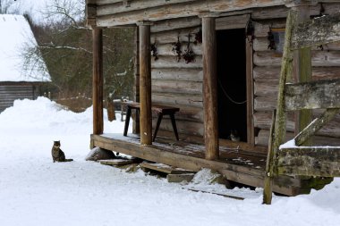 Wild multicolor tabby cat. A homeless cat sits on a wooden bench against the background of an old log wooden house. Rural landscapes, rural winter photos. . High quality photo
