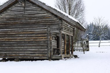 Wild multicolor tabby cat. A homeless cat sits on a wooden bench against the background of an old log wooden house. Rural landscapes, rural winter photos. . High quality photo