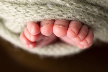 Soft feet of a newborn in a white woolen blanket. Close-up of toes, heels and feet of a newborn baby. The tiny foot of a newborn. Studio Macro photography. Baby feet covered with isolated background.