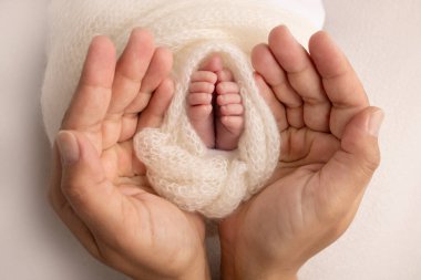 Childrens legs in the hands of mother, father, parents. Feet of a tiny newborn close up. Mom and her child. Happy family concept. Beautiful concept image of motherhood stock photo.