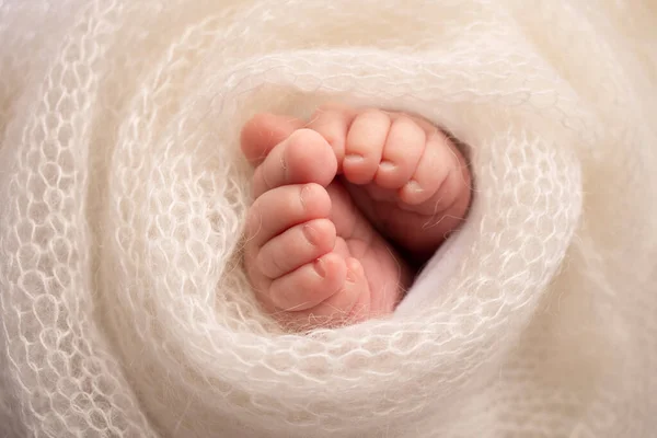 Soft feet of a newborn in a white woolen blanket. Close-up of toes, heels and feet of a newborn baby. The tiny foot of a newborn. Studio Macro photography. Baby feet covered with isolated background.