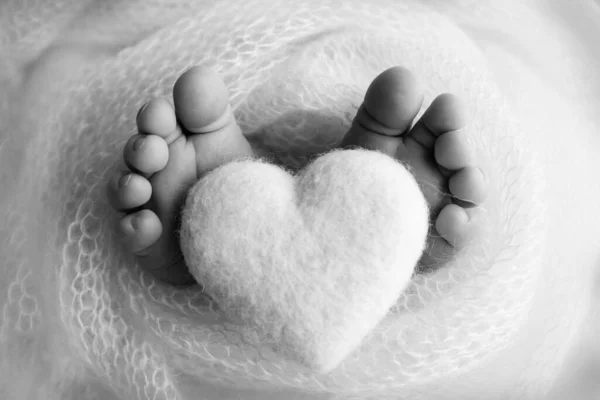 Close-up of a newborns tiny feet wrapped in a knitted blanket with a small felt heart. Monochrome photography.