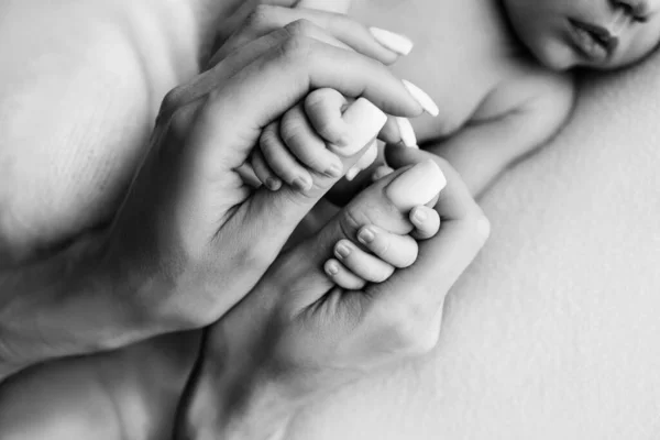 The hand of a newborn in the mothers hand. Mom and her child. Happy family concept. Beautiful concept image of motherhood.
