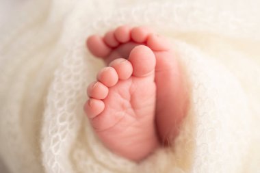 The tiny foot of a newborn. Soft feet of a newborn in a white woolen blanket. Close up of toes, heels and feet of a newborn baby. Studio Macro photography. Womans happiness.