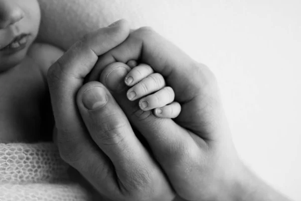 A newborn holds on to moms, dads finger. Hands of parents and baby close up. A child trusts and holds her tight. Tiny fingers of a newborn. Black and white macrophoto. Concepts of family and love.