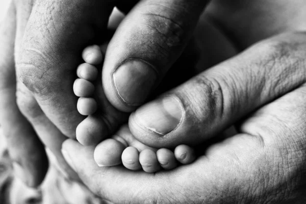 Mother is doing massage on her baby foot. Closeup baby feet in mother hands. Prevention of flat feet, development, muscle tone, dysplasia. Family, love, care, and health concepts. Black and white.