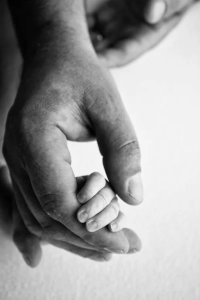 A newborn holds on to moms, dads finger. Hands of parents and baby close up. A child trusts and holds her tight. Tiny fingers of a newborn. Black and white macrophoto. Concepts of family and love.