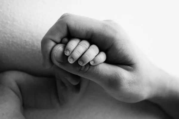 The hand of a sleeping newborn in the hand of parents, mother and father close-up. Tiny fingers of newborn. The family is holding hands. Black and white macro photography Concepts of family and love