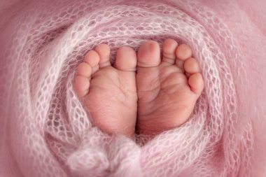Knitted pink heart in the legs of a baby. Soft feet of a new born in a pink wool blanket. Close-up of toes, heels and feet of a newborn. Macro photography the tiny foot of a newborn baby.