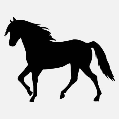 Beyaz arka planda izole edilmiş yürüyen siyah at silueti. Vektör çizimi. Eps 10.