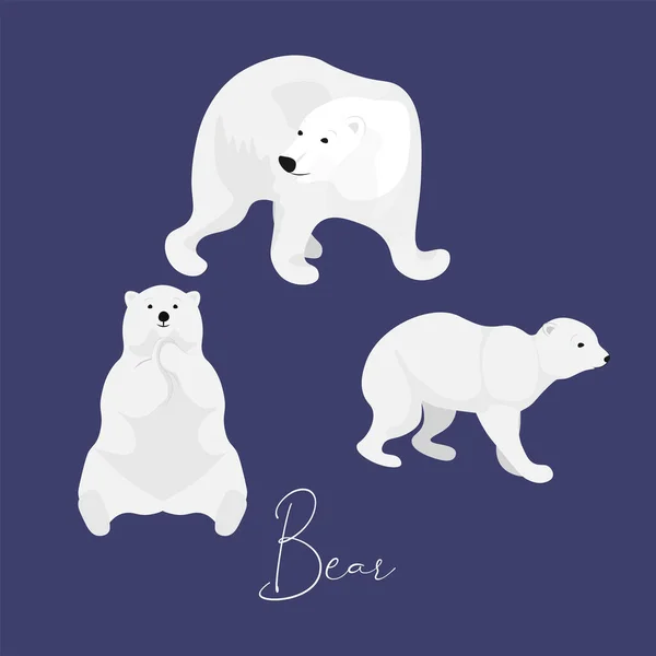 Білий Ведмідь Встановлений Темному Тлі Зима Білим Ведмедем Векторні Ілюстрації — стоковий вектор