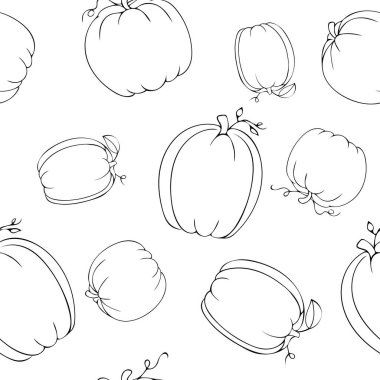 El Çizimi Siyah Karalamalar Beyaz Arkaplanda Yapraksız Yapraklı Farklı Kabak Varyasyonları. Zarif balkabaklarının vektör çizimi. 