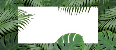 Gerçekçi canavar ve içi boş beyaz kağıtlarla dolu palmiye yaprakları. Tasarımın için modern arka plan. Doğum günü için resim, parti kartı, davetiye, moda, sunum. Metnin için boşluk kopyala.