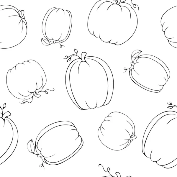 Disegnato Mano Nero Doodle Diverse Varietà Zucche Con Foglie Modello — Vettoriale Stock