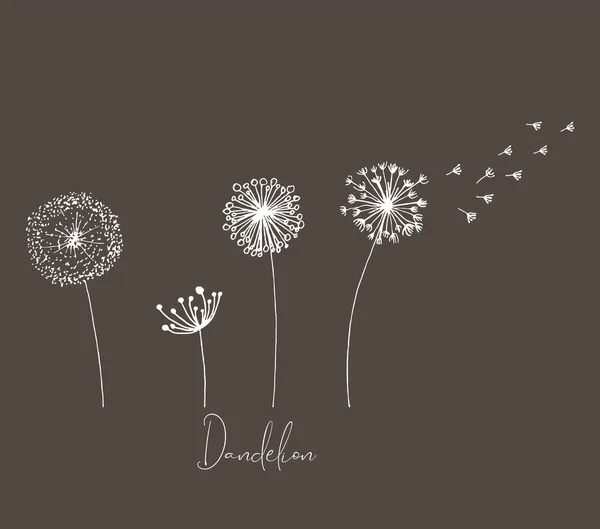 Hand Drawn Set White Dandelion Dandelion Flying Seeds Cute Doodle — Stock Vector