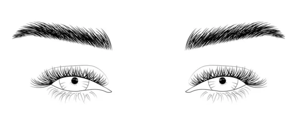 Aspecto Maquillaje Sexy Mujer Con Cejas Pestañas Perfectamente Formadas Ilustración — Vector de stock