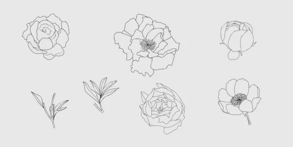 Ручной Рисунок Пиона Набор Цветов Стиле Дудл Черный Контурный Цветок — стоковый вектор