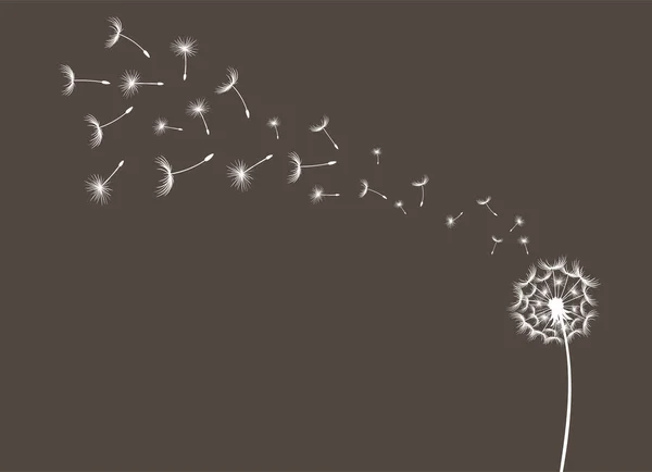 Elle çizilmiş karahindiba ile uçan tohumlar şirin karalama stili. Kumaş, kart tasarımı, bebek kıyafetleri, duvar dekorasyonu için vektör illüstratini.