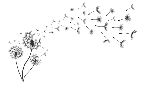 Dandelion Desenhado Mão Com Sementes Voadoras Estilo Doodle Bonito Banner — Vetor de Stock