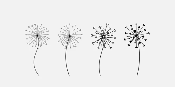 Hand Drawn Set Black Dandelion Dandelion Flying Seeds Cute Doodle — Stock Vector