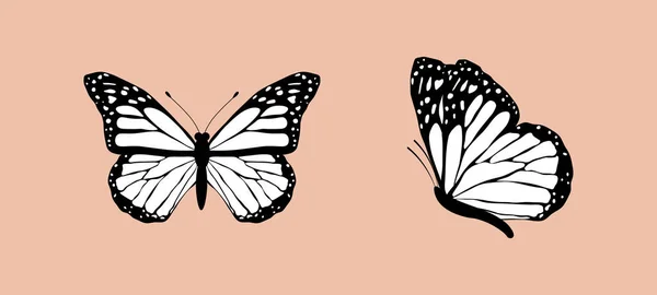 Papillons Volants Noirs Blancs Isolés Sur Fond Rose Illustration Vectorielle — Image vectorielle