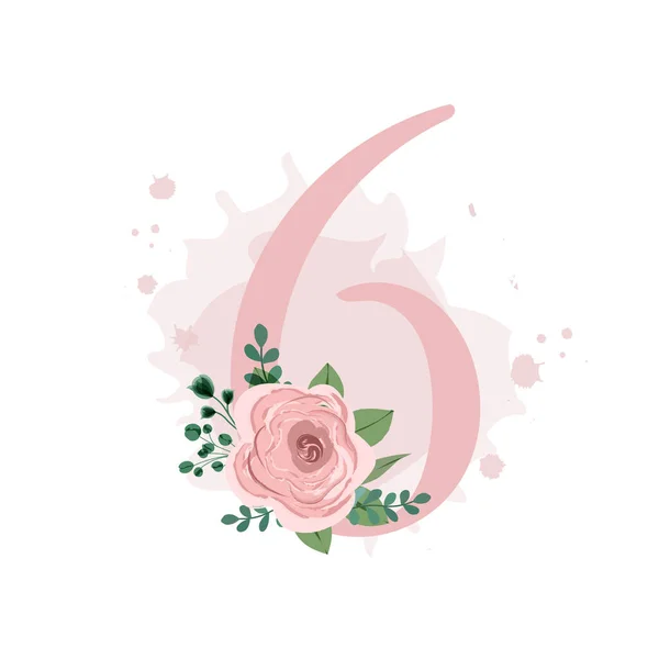 Number Six Decorated Pink Rose Leaves Watercolor Splash Isolated White — ストックベクタ