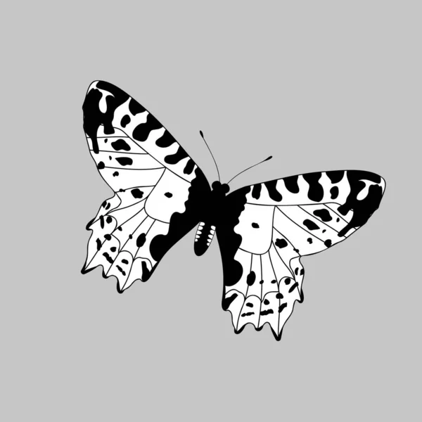 Black White Elegant Flying Butterfly Isolated Grey Background Vector Illustration — 图库矢量图片