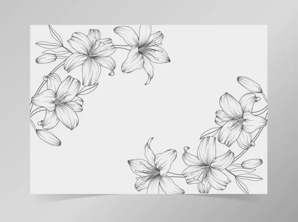 Ligne Dessinée Main Bordure Fleur Lys Noir Blanc Sur Fond — Image vectorielle