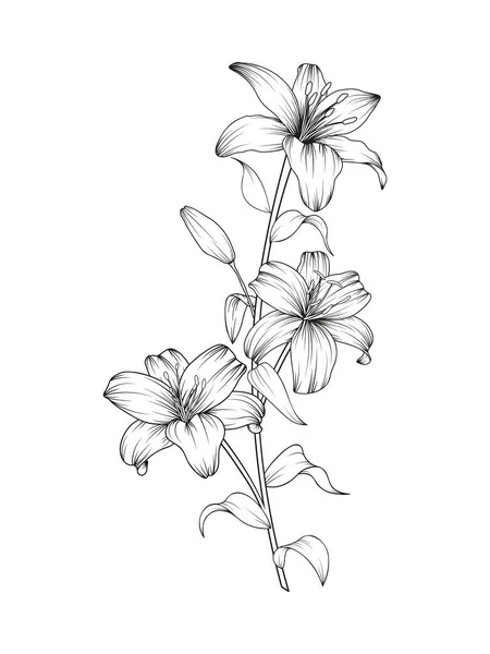 Composition Fleurs Lys Noir Dessinées Main Dans Style Mignon Doodle — Image vectorielle