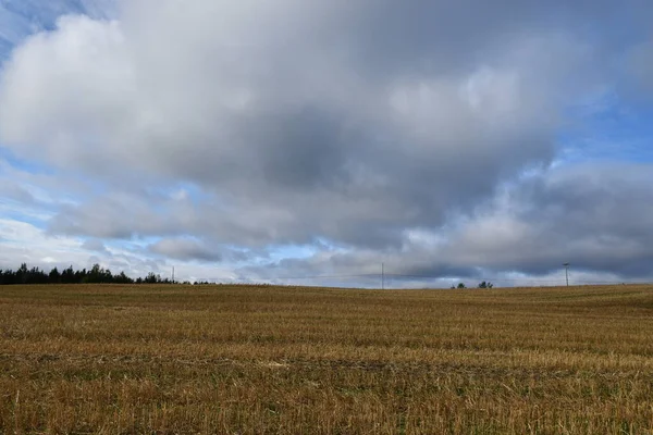 A field after the fall harvest, Sainte-Apolline, Quebec, Canada