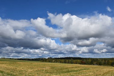 Hasattan sonra sonbaharda bir tarla, Quebec, Kanada