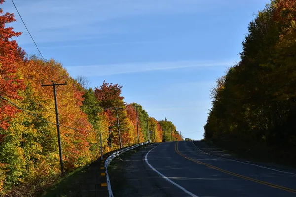 Een Weg Omzoomd Met Esdoorn Bomen Herfst Armagh Quebec Canada — Stockfoto